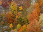 Autunno nella Val Scarabozza Autunno nella Val Scarabozza