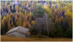 Baita solitaria all'Alpe Alba autunnale, Monte Pasubio Baita solitaria all'Alpe Alba autunnale, Monte Pasubio