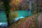 smeraldo nel bosco smeraldo nel bosco