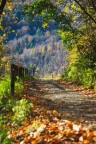 Autunno Autunno