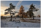 Quando l'autunno incontra l'inverno Quando l'autunno incontra l'inverno