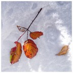 autunno e inverno autunno e inverno