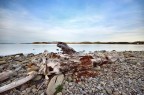 come fai a spiegare il mare come fai a spiegare il mare