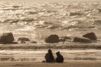 November_Sea_2 November_Sea_2