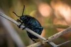 Macro_07Set2025_2 Macro_07Set2025_2