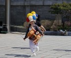 Danza tradizionale Danza tradizionale