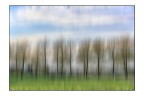 ST. ST.