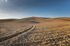 il solitario il solitario