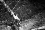 Nella natura Nella natura