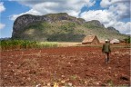 Campesino de Vinales Campesino de Vinales