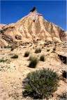 Bardenas Reales de Navarra Bardenas Reales de Navarra