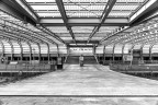 urban #232 urban #232