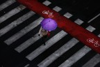 Il viola e il Rosso ....sotto la pioggia Il viola e il Rosso ....sotto la pioggia