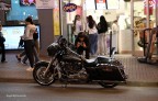 la HARLEY la HARLEY