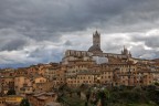 Siena Siena