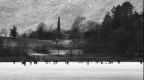 Sul lago ghiacciato Sul lago ghiacciato