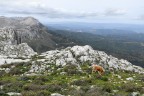 Montalbo Montalbo