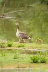 Tutti con mamma Tutti con mamma