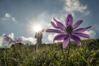 Macro_MteGuadagnolo_RM_Apr2026_1 Macro_MteGuadagnolo_RM_Apr2026_1