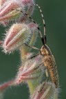Macro_Mag2026_A_12
