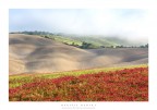 terra senese