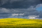 GIALLO&BLU GIALLO&BLU