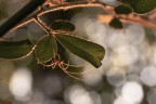 Macro_270626_1 Macro_270626_1