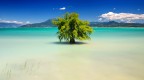 Lago di Garda meridionale, giugno 2026