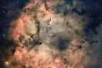 Nebulosa proboscide di elefante Nebulosa proboscide di elefante