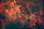 Una zona del cielo profondo che affascina per l'abbondante presenza di idrogeno ionizzato. Al centro, anche se molto piccola vista l'ampia inuadratura, si pu� notare la nebulosa crescente. Ripresa con samyang 135 F2 su montatura Zwo AM5N. 1 ora di ripresa.
