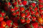I colori del sole  e.. anche nel piatto