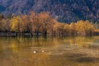 Fusine do ottobre