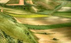 Tavolozza