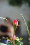 L'amore!! L'amore!!