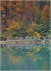 Autunno al Laghetto Main
