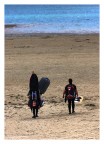 surfisti surfisti