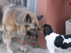 ...quanto ti voglio bene Layla... ...quanto ti voglio bene Layla...