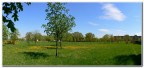 primavera.. primavera..