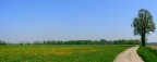 la campagna la campagna