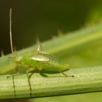 Che pupa!! Che pupa!!
