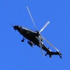 mangusta in volo sull'autodromo di imola