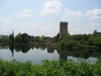 ninfa ninfa