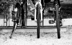 Segni dell'età Segni dell'età