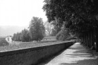 dal parco delle mura di Lucca