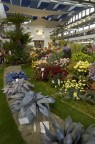 Euroflora Euroflora