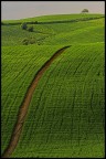 paesaggio toscano paesaggio toscano
