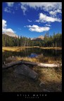 Still Water - Yosemite