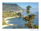 Capo vaticono Capo vaticono