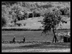 In campagna... In campagna...