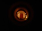 THE HOLE THE HOLE